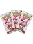 Pokemon 151 Scarlet&vıolet Oyun Kartı 4 Paket 4