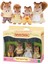 Sylvanian Families Sincap Ailesi - Walnut Squirrel Family 1