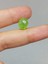 Peridot (Zebercet) Taşı Otantik Doğal Kesim (Ortalama 9 Karat) (55600) 1