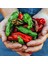 Pepperoncini Acı Biber Tohumu Geleneksel Italyan 1