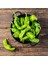 Pepperoncini Acı Biber Tohumu Geleneksel Italyan 6