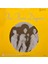 The Three Degrees – Jump The Gun (Lp Plak) 2