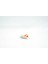 Goldeen Pokemon 3D Model 3