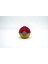 Poké Ball (Hisui) - Pokemon Topu 3D Model 1