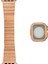 Watch 45MM Uyumlu Metal Kordon ve Parlak Sert Kasa Koruyucu Set 1