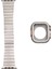 Watch 44MM Uyumlu Metal Kordon ve Parlak Sert Kasa Koruyucu Set 1