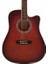 WA90CRDB Akustik Gitar 1