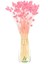 Pmebe Renk Kuş Otu Kutulumuş Ot 50-60DAL (30-35CM) Pink Phalaris 1