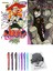 Naruto 12 ve Jujutsu Kaisen 10 2li Set 1