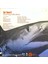 Get Smart – Sw,mming With Sharks LP Plak 2
