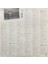 Rickie Lee – Jones LP Plak 2