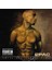 2PAC Until The End Of Time (20TH Anniversary) LP Plak 1
