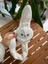 Stellalou Kulakları Hareket Eden Sesli Tavşan Peluş Kulaklık Taç 1