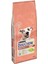 Dog Chow Sensitive Somon Adult 14 kg Hassas Köpekler Için Somonlu Yetişkin Köpek Maması 1