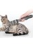 Pet Saç Fırçası Köpek Kedi Saç Dyson V8 V7 V10 V11 V12 V15 Elektrikli Süpürge Süpürgesi Aksesuarları Parçaları (Yurt Dışından) 2