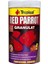 Red Parrot Granulat Kırmızı Papağan Balıkları Için Granül Balık Yemi 250 ml 100 gr 1