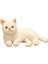 Kedi Bebek Yalan Kedi Bebek Yalan Kedi Peluş Oyuncak Bebek Ev Dekorasyonu (350MM) (Yurt Dışından) 1