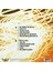 Teoman – Teoman LP 2