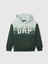 Erkek Çocuk Yeşil Gap Logo Relaxed Fleece Sweatshirt 1