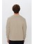 Slim Fit Bisiklet Yaka Petek Desenli Erkek Kazak 5