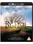 Big Fish (2 Discs - 4K Ultra-Hd & Bd Se) [blu-Ray] Uk-Tr Altyazı 1