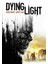 Dying Light (Uncut) Steam Key Global 1