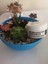 Ayak Bakım ve Çatlak & Koku Bıoterapi Kremi 100 ml 4