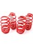 Coil-Ex Opel Corsa E 2014 Sonrası 30/30 mm 1,4t-1,3cdtı Spor Yay 1