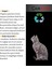 Çamkum Star Topaklanan ve Tozsuz Doğal Kedi Kumu 10 Lt 4