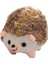 Küçük Küçük Hedgehog Bir Oyuncak (Yurt Dışından) 4