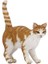DEMONTE-Dış & İç Mekan Ahşap Kedi Yuvası Ölçüleri: 90x35x40 5