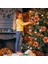 Düğün Partisi Dekorasyonu Için Noel Yapay Çiçekleri, Altın (Yurt Dışından) 5