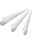 Pipet Uçları 10UL(3000'LI Paket) (Yurt Dışından) 3