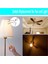 1 Adet Tavan Vantilatörü Işık Anahtarı Zingear ZE-208S E89885 3 Hız 4 Telli Fan Anahtarı Çekme Zinciri, Fan Işık Anahtarı, Bronz (Yurt Dışından) 4