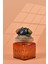 El Yapımı Özel Tasarım Kavanoz - 500 ml - Vakumlu Ahşap Kapaklı (İncir Detaylı) - Dark Amber Çiçekli Kare Cam - Mutfak ve Ev Dekorasyonu 3