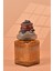 El Yapımı Özel Tasarım Karabiber Baharat Kavanozu - 700 ml - Vakumlu Ahşap Kapaklı (Kahverengi Detaylı) - Medium Amber Çizgili Cam - Mutfak ve Ev Dekorasyonu 1