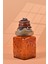 El Yapımı Özel Tasarım Karabiber Baharat Kavanozu - 700 ml - Vakumlu Ahşap Kapaklı (Kahverengi Detaylı) - Dark Amber ÇiçekliCam - Mutfak ve Ev Dekorasyonu 1