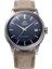 RA-AC0M12L30B Limited Edition Kurmalı Otomatik Deri Kahveengi Mavi Kadran 38 mm Erkek Kol Saati 1