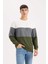 Regular Fit Bisiklet Yaka Renk Bloklu Jakarlı Sweatshirt D5393AX24AU 3