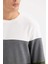Regular Fit Bisiklet Yaka Renk Bloklu Jakarlı Sweatshirt D5393AX24AU 5