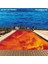 Red Hot Chili Peppers Californication Lp (Plak) 1
