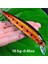 No.6 Tarzı 1 Adet Gerçekçi Sallantılı Yem Balıkçılık Yemi 3D Gözler 14CM.5G Levrek Yapay Sert Yem Balıkçılık Donanımı Yüzen Yem 6# Kanca Ile (Yurt Dışından) 5