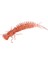 H Tarzı 75MM 3g 5 Adet Larva Yumuşak Yemler Yapay Silikon Yumuşak Yem Solucan Balıkçılık Wobblers Levrek Sazan Swimbaits (Yurt Dışından) 1