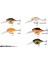 3D Crucian Crank 4,6 cm 8,3 gr Sf Dr Sahte Balık Pearl White Silver 2