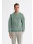 Erkek Mint Yeşil Bisiklet Yaka Pamuklu Nakışlı Sweatshirt A42y1247 1