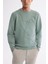 Erkek Mint Yeşil Bisiklet Yaka Pamuklu Nakışlı Sweatshirt A42y1247 2