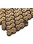 Benelli Tnt 25 Did Vx3 Xringli Zincir Gold 3