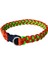 Paracord Köpek Tasması 2
