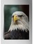 Kartal Eagle - Metal Poster Tablo 1