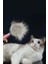 Tekno Trust Pembe Pakeway Kedi Köpek Tarağı Tüy Toplayıcı 4